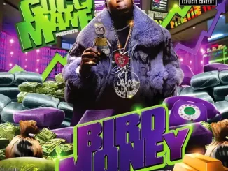 Gucci Mane Bird Money