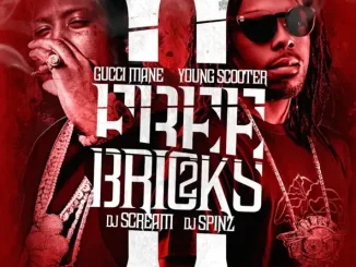 ALBUM: Gucci Mane & Young Scooter – Free Bricks 2 Gucci Mane & Young Scooter Free Bricks 2