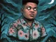 INDIE WAVE GANG Feat Zelous SA – Lokshin Zombie