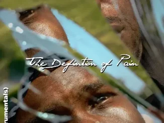 ALBUM: J. Stone – The Definition of Pain (Instrumentals) J. Stone The Definition of Pain (Instrumentals)
