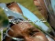 J. Stone The Definition of Pain (Instrumentals)