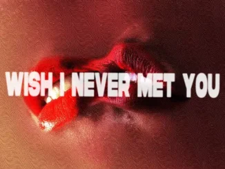 Jacob Vallen & Tory Lanez Wish I Never Met You