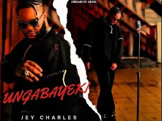 Jey Charles ft Heavy-K, Dlala Thukzin & Vincii 929 – Ungabayeki Jey Charles – Ungabayeki ft Heavy K, Dlala Thukzin & Vincii 929