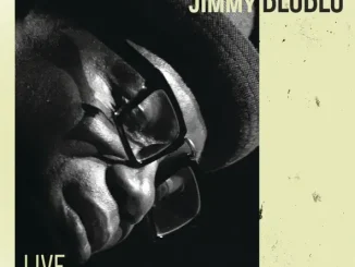 Jimmy Dludlu Live