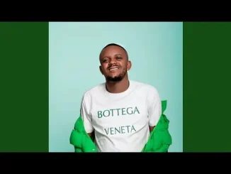 Kabza De Small feat. Nobuhle – S’themb’ amandla Kabza De Small S’themb’ amandla feat. Nobuhle