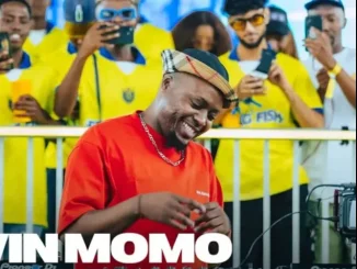 Kelvin Momo – Flying Fish Goodbye Summer