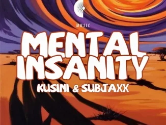 Kusini & Subjaxx – Mental Insanity