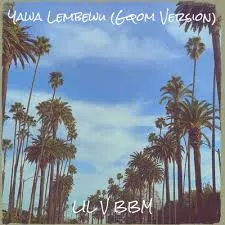 LIL V BBM – Yawa Lembewu (Gqom Version)