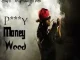 Lil Wayne Pussy Money Weed
