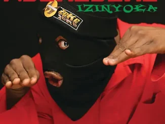 Mzekezeke Izinyoka