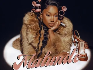 Nandi Ndathane ft DJ Stokie, DJ Nnandos & Neo Soul – Malunde Nandi Ndathane – Malunde ft DJ Stokie, DJ Nnandos & Neo Soul
