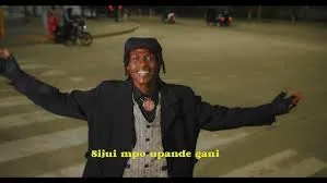 Nay Wa Mitego – Nyie Ni Nani Nay Wa Mitego – Nyie Ni Nani
