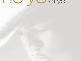 Ne Yo Because of You