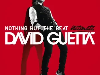 Nothing But the Beat Ultimate David Guetta