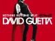 Nothing But the Beat Ultimate David Guetta