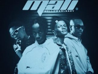 Novatron ft Hotfurze, Mellow, Sleazy, Mpho Spizzy & D’ Braz – Mali Novatron – Mali ft Hotfurze, Mellow, Sleazy, Mpho Spizzy & D’ Braz