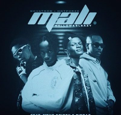 Novatron – Mali ft Hotfurze, Mellow, Sleazy, Mpho Spizzy & D’ Braz Novatron – Mali ft Hotfurze, Mellow, Sleazy, Mpho Spizzy & D’ Braz