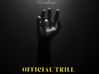 Official’Trill ft Mellow, Sleazy & Unlimited Soul – Blue Strings Official’Trill – Blue Strings ft Mellow, Sleazy & Unlimited Soul