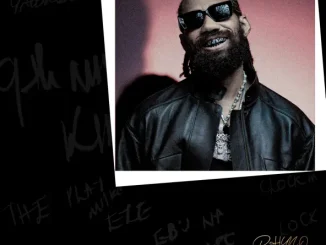 Phyno Full Time Job