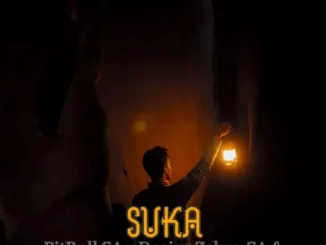 PitBull SA ft Deejay Zebra SA & Baba KaSimba – Suka PitBull SA – Suka ft Deejay Zebra SA & Baba KaSimba
