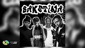 RIVALZ – Bak’stina Ft. Mr Nation Thingz & Gubziin RIVALZ – Bak’stina Ft. Mr Nation Thingz & Gubziin