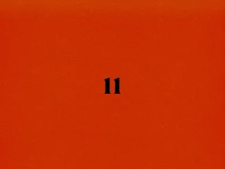 Sault 11