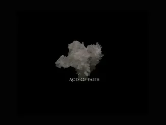 Sault Acts of Faith