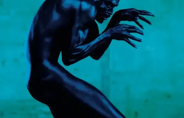 Seal Human Being Seal Human Being