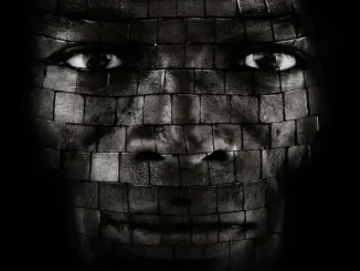 ALBUM: Seal – System Seal System
