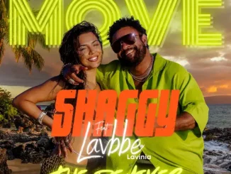 Shaggy & Lavbbe – MOVE (The Remixes)