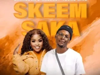 Shandesh – Skeem Saka ft NaleBoy Young King & Hitler SA