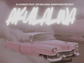 Shimza ft Dr Malinga – Akulalwa Shimza – Akulalwa ft Dr Malinga