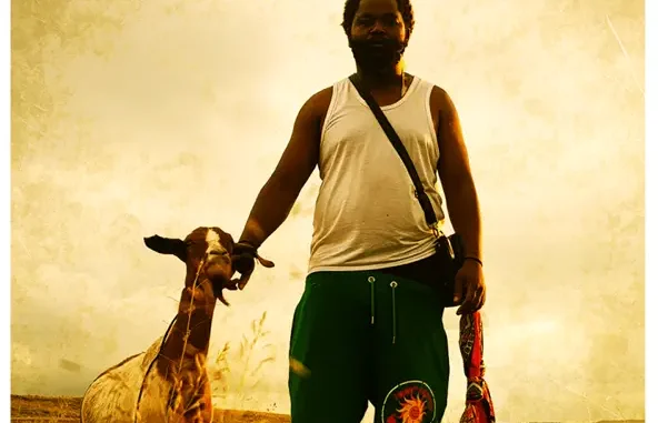Sjava – Umsebenzi Sjava – Umsebenzi