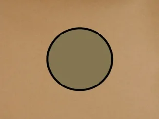 ALBUM: Swans – Die Tür Ist Zu Swans Die Tür Ist Zu