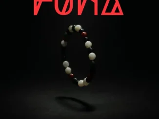 Swizxle – Funa 3 step