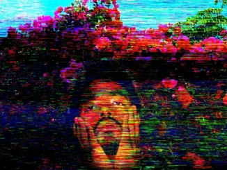 ALBUM: Tai Verdes – TV Tai Verdes TV