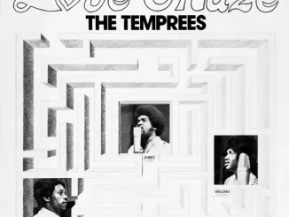 The Temprees Love Maze