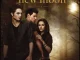 The Twilight Saga New Moon (Original Motion Picture Soundtrack) Various Artists