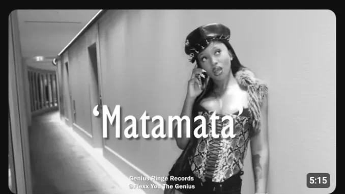 Tyler ICU – Matamata ft Kelvin Momo & Kabza De Small Tyler ICU – Matamata ft Kelvin Momo & Kabza De Small