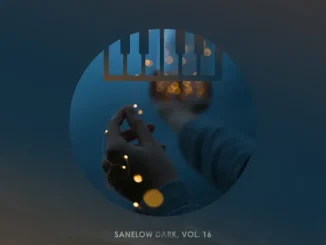 VA – Sanelow Dark, Vol. 16