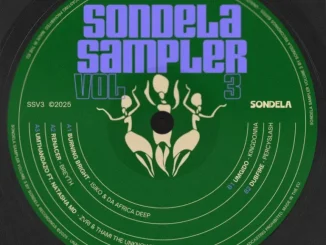 VA – Sondela Sampler, Vol.3