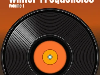 VA – Winter Frequencies, Vol. 1