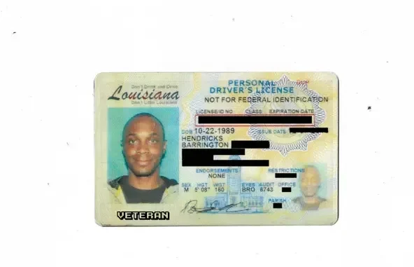 Veteran Director's Cut JPEGMAFIA Veteran Director's Cut JPEGMAFIA