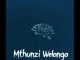 Why01.1 – Mthunzi Welanga ft uMalume Soul’s