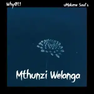 Why01.1 – Mthunzi Welanga ft uMalume Soul’s Why01.1 – Mthunzi Welanga ft uMalume Soul’s