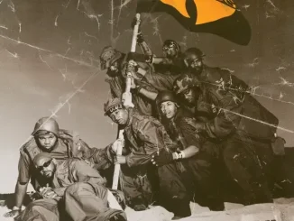 Wu Tang Clan Iron Flag