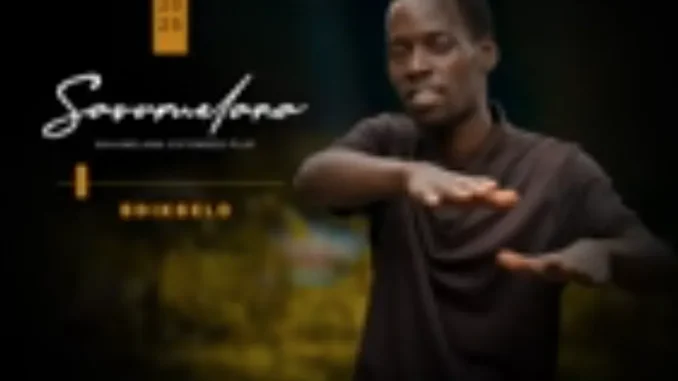 uThingo Records ft Sdikselo – Alidume limthathe uThingo Records ft Sdikselo – Alidume limthathe