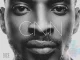 9ice C N N