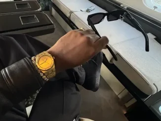 Brent Faiyaz tony soprano.