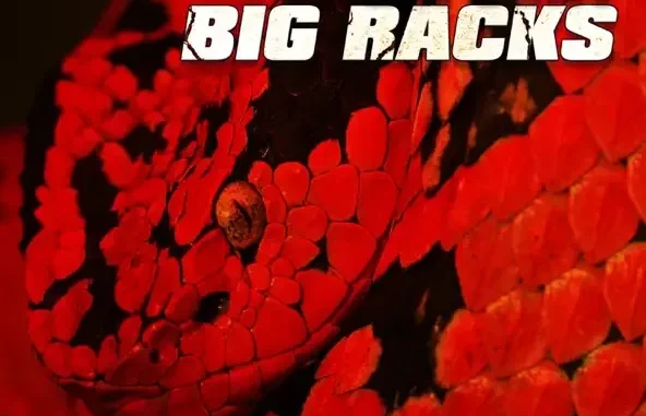 Cassius Jay – Big Racks (feat. Lil Uzi Vert) Cassius Jay – Big Racks (feat. Lil Uzi Vert)